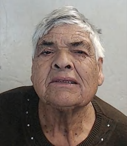 Francisca Fernandes dos Santos