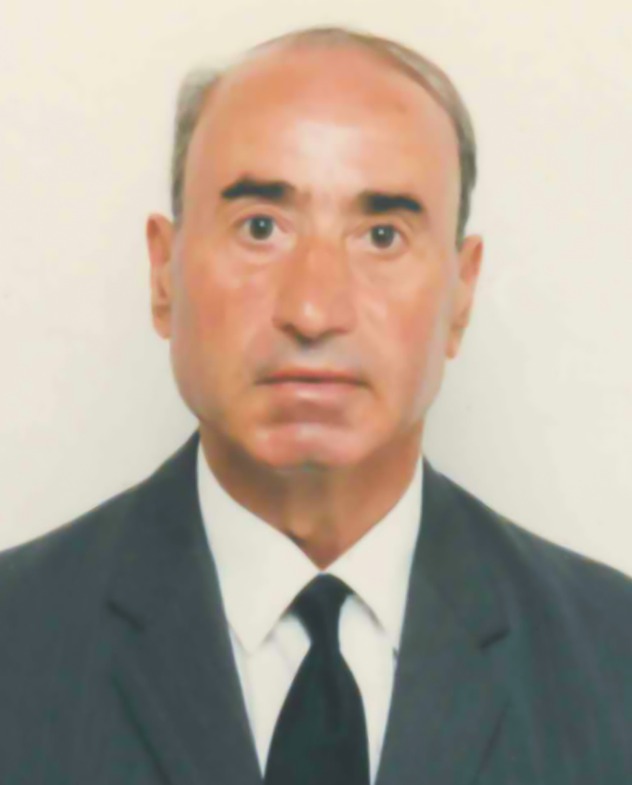 Joaquim Ferreira da Silva